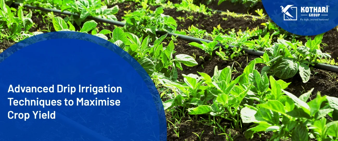 Advanced Drip Irrigation Techniques to Maximise Crop Yield