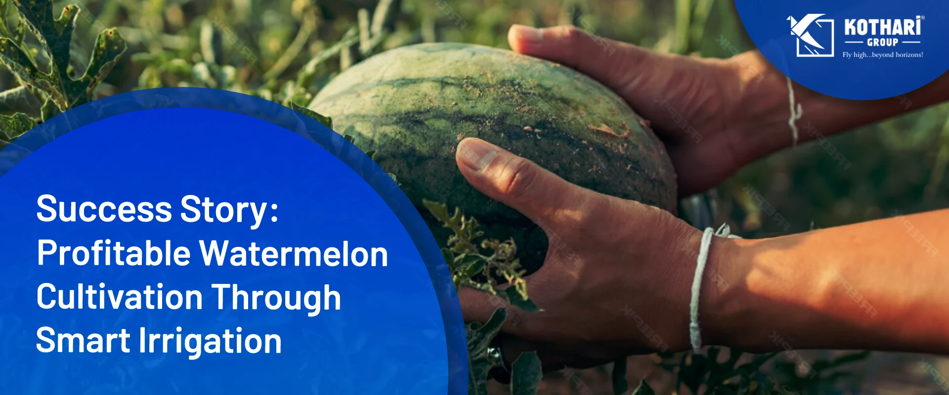 How Drip Irrigation Helped a Solapur Farmer Earn ₹1.09 Lakh Profit from Watermelon Farming