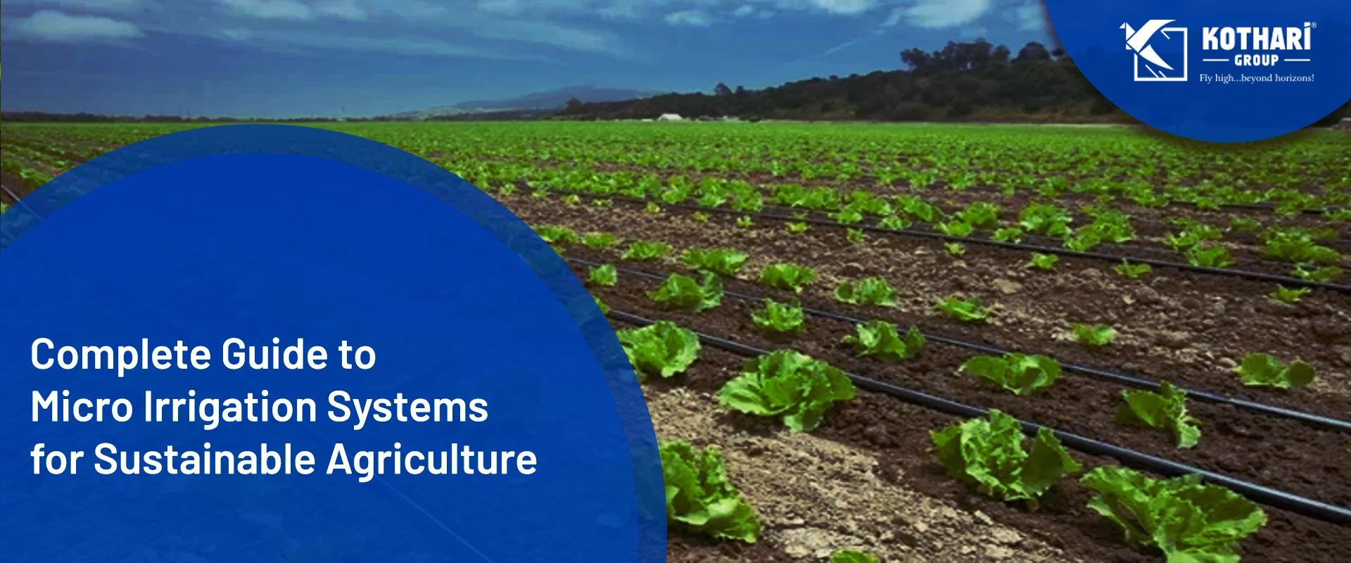 Complete Guide to Micro Irrigation Systems for Sustainable Agriculture