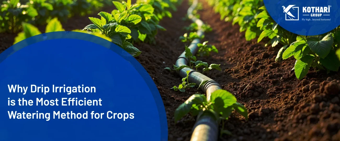why-is-drip-irrigation-is-the-most-effiicient-watering-method-for-crops