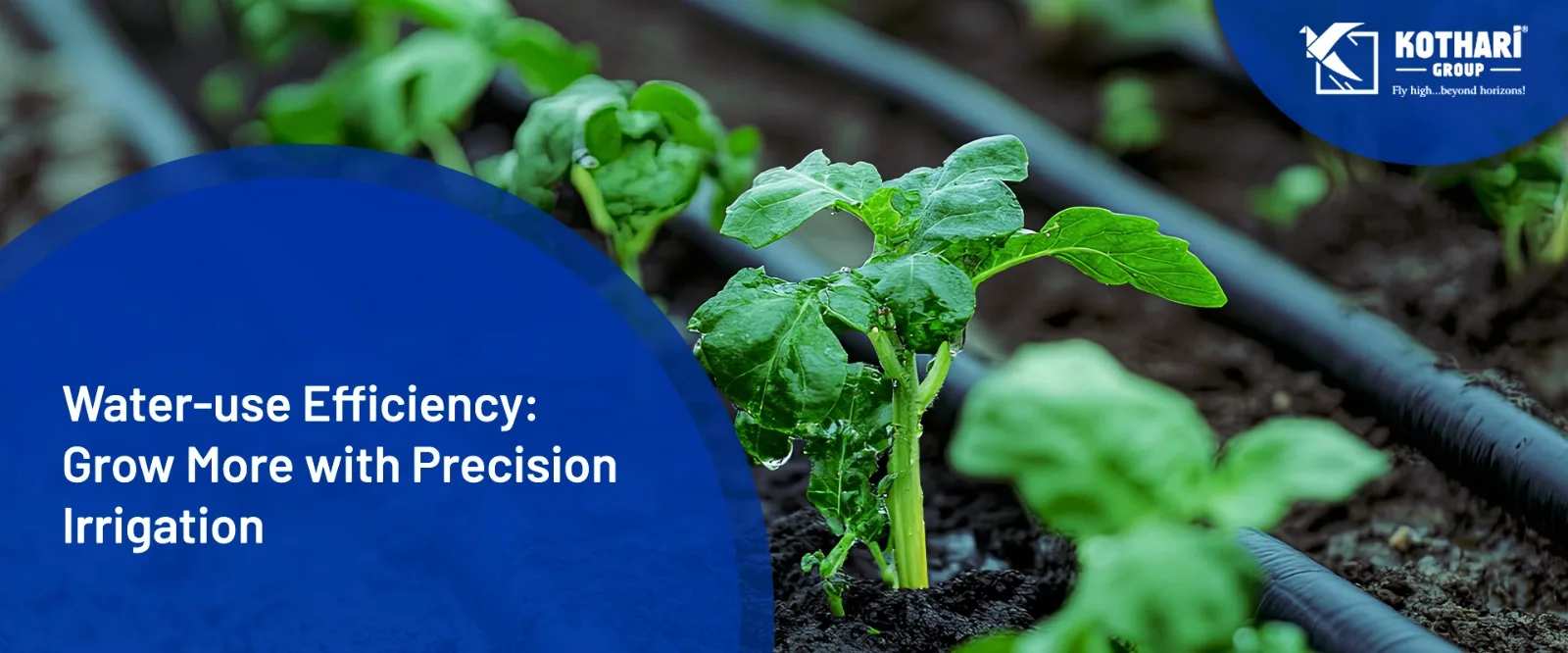 Water‑use Efficiency: Grow More with Precision Irrigation