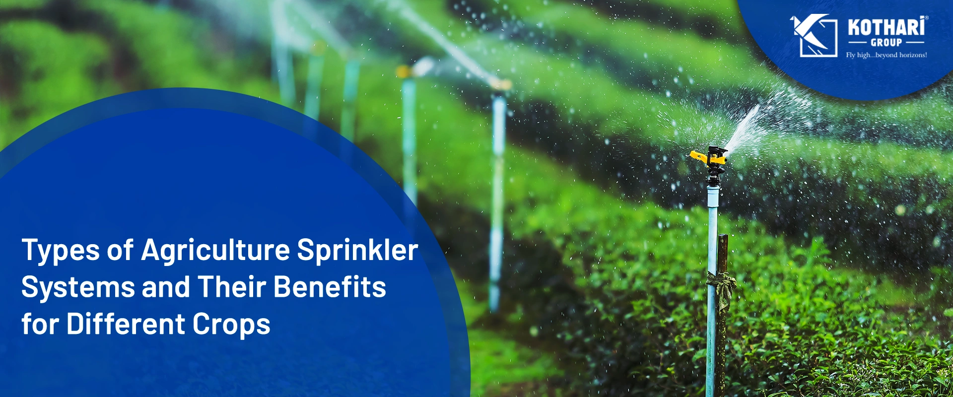 Types of Agriculture Sprinkler Systems and Their Benefits for Different Crops