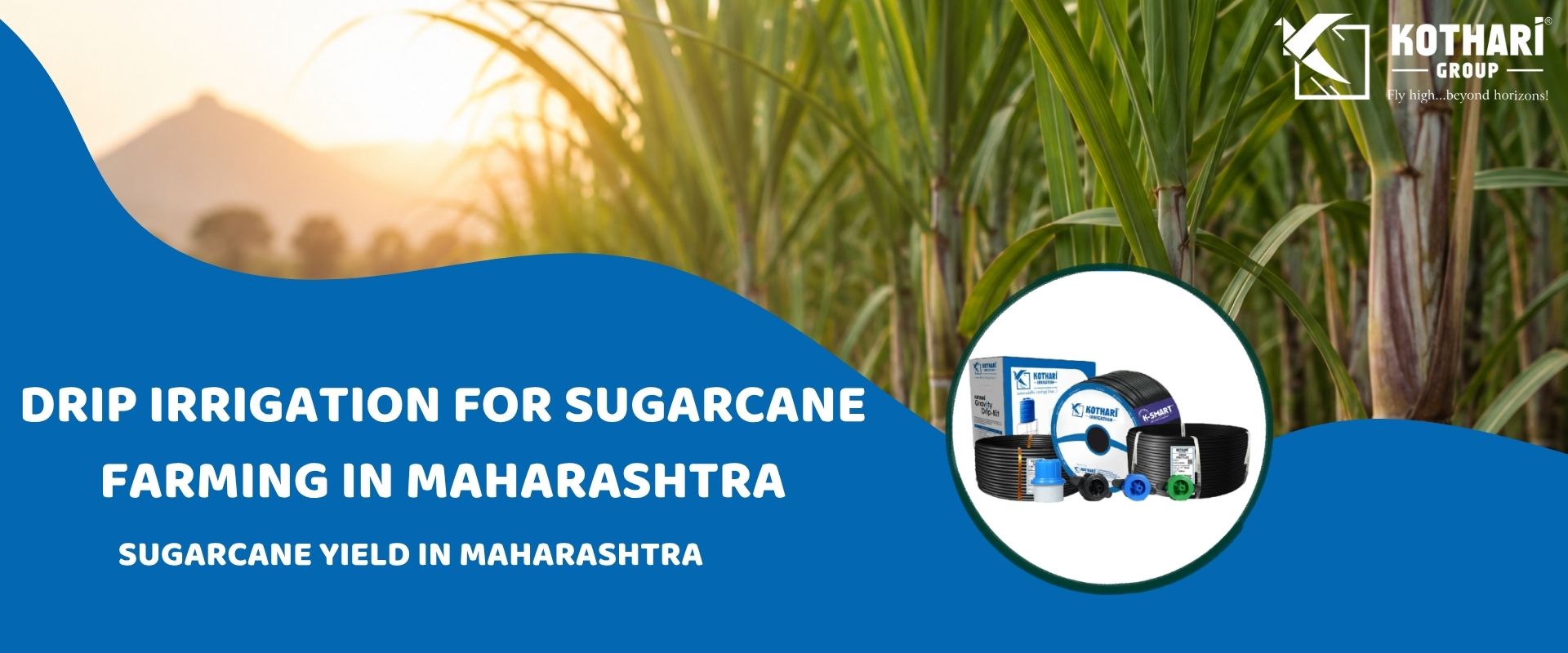 Drip Irrigation for Sugarcane Farming in Maharashtra
