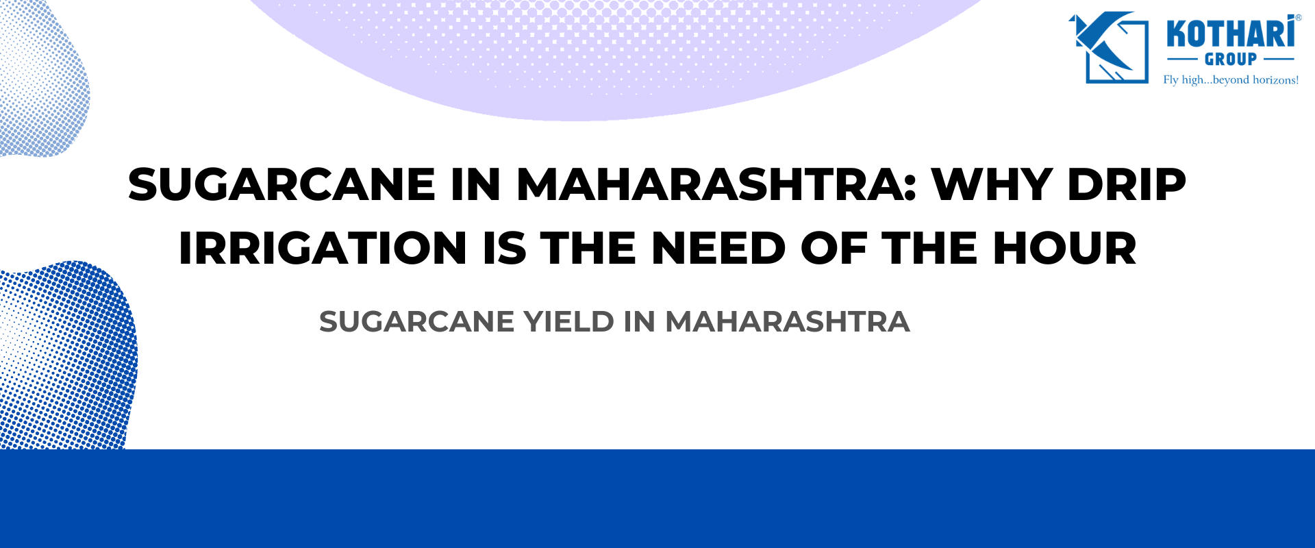 Sugarcane in Maharashtra: Why Drip Irrigation is the Need of the Hour