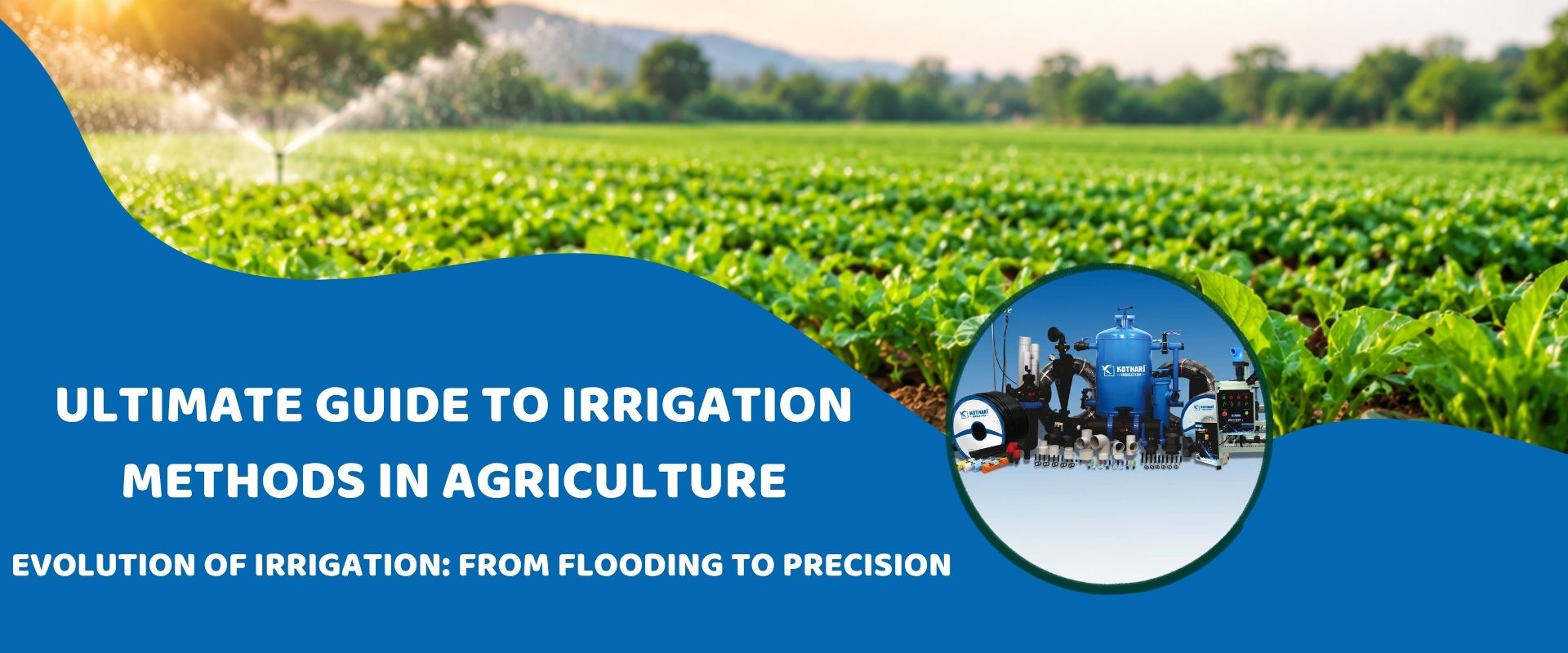 The Ultimate Guide to Irrigation Methods in Agriculture
