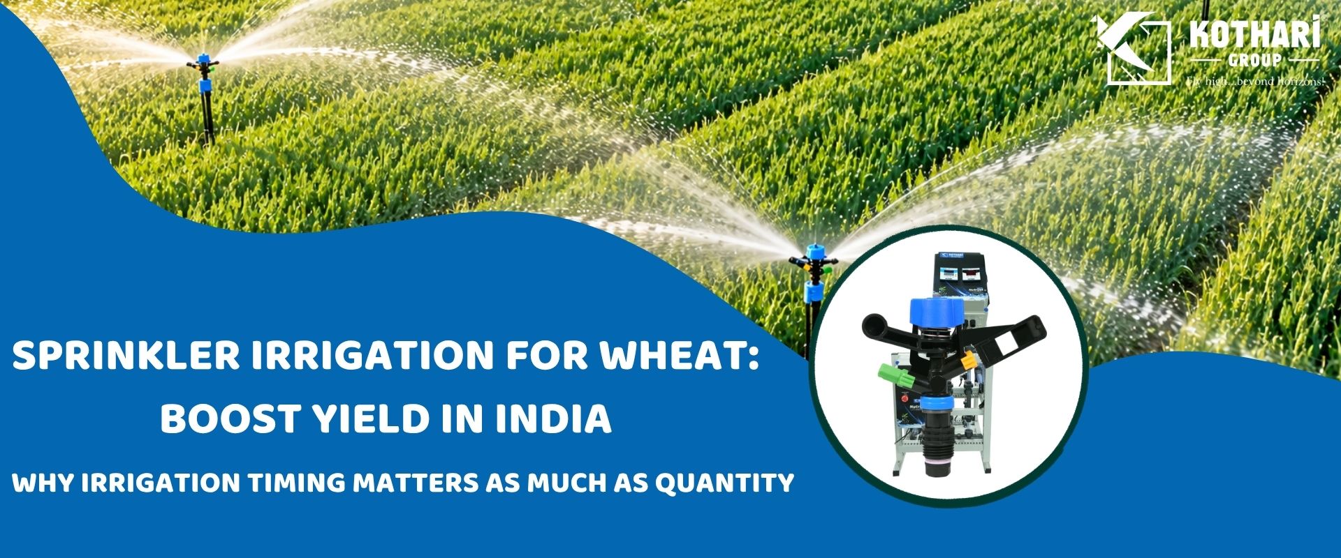 Sprinkler Irrigation for Wheat: How to Increase Wheat Yield