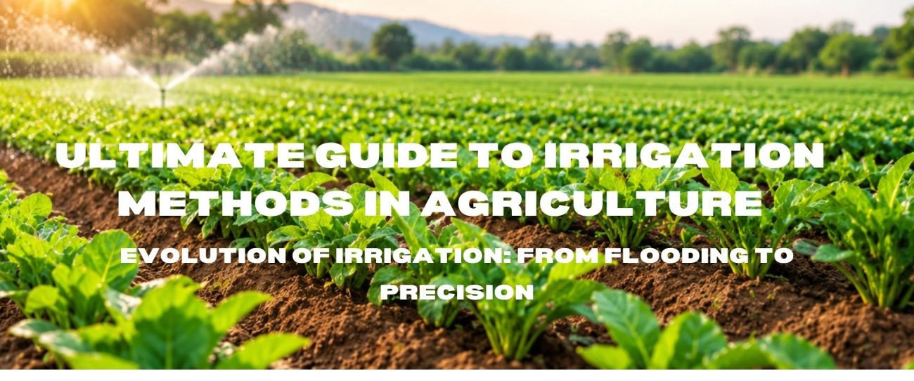 Guide to irrigation methods in agriculture